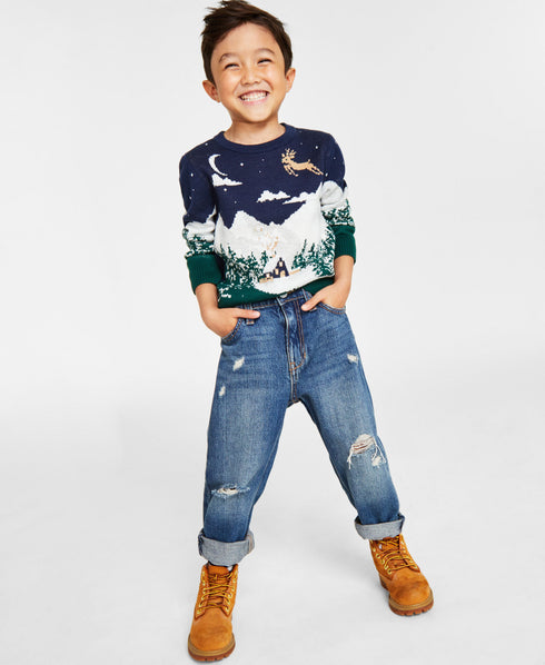 Holiday Lane Little Boys Snowy Landscape Crewneck Sweater